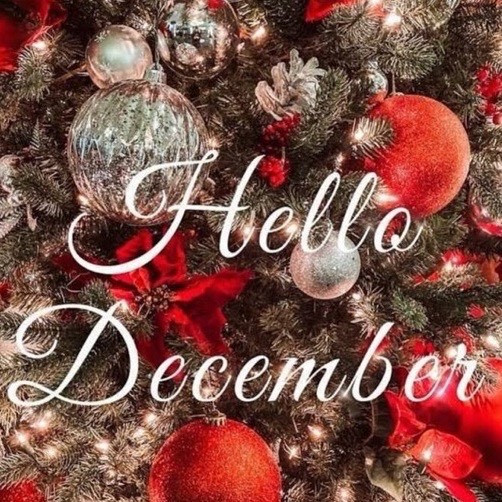 ☆12月のご予約受付スタート☆